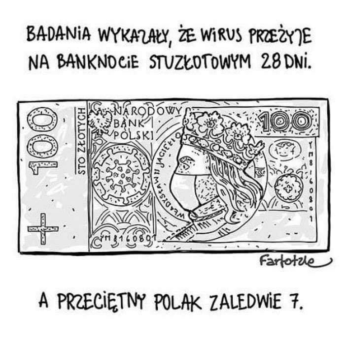 Polish dream