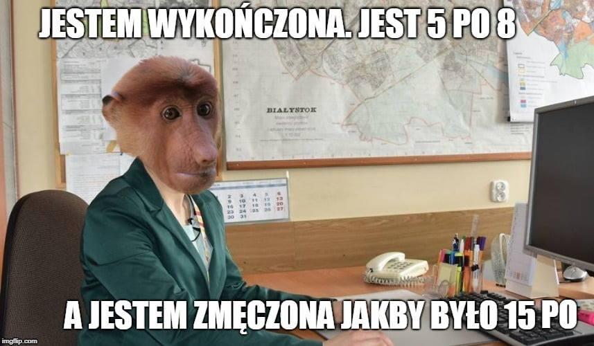 Robota