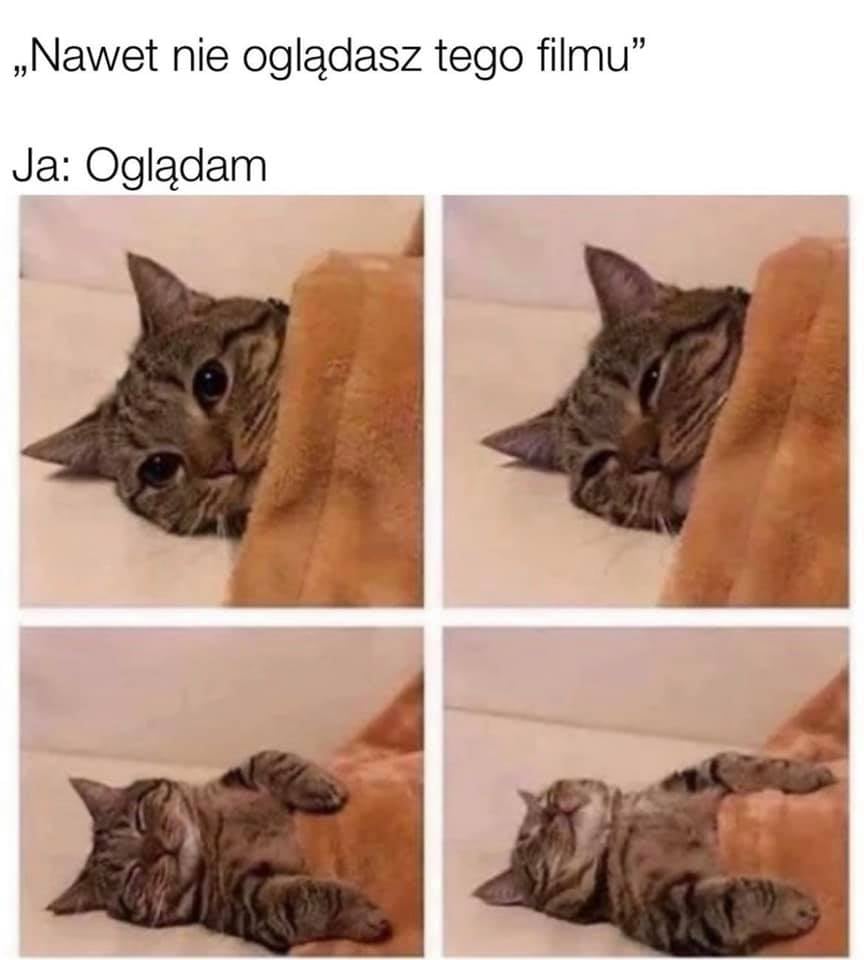 Netflix - za każdym razem XD