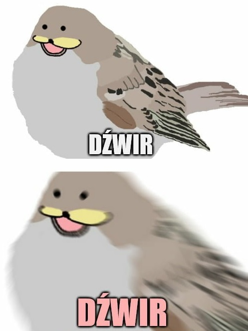 Zaczyna się