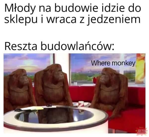 Budowlańcy XD