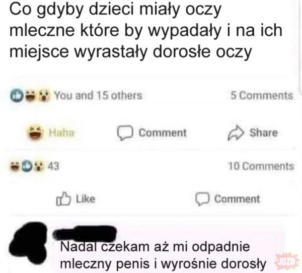 Mleczaki XD