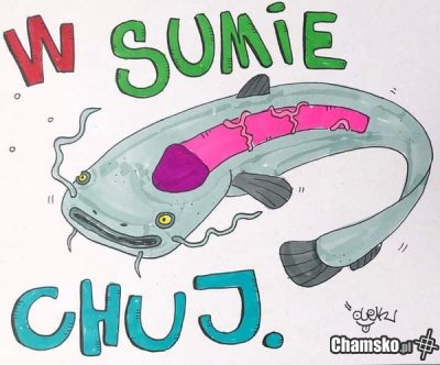 W sumie prącie