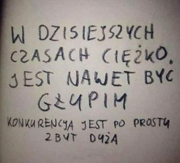 Cytaty