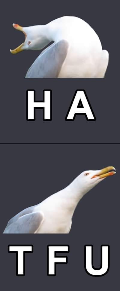 hatfu javascriptowcy